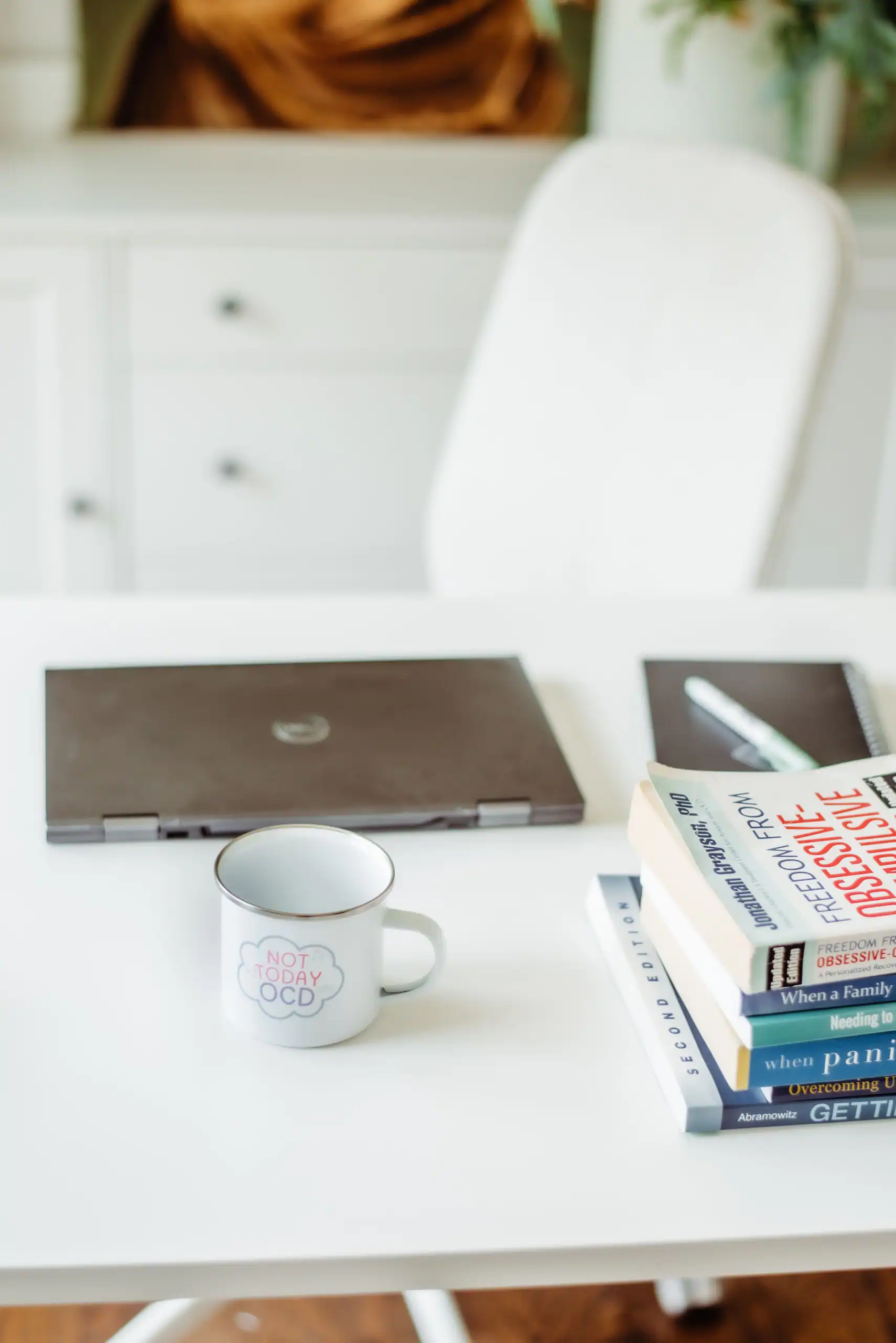 Anna Schneiderman's OCD therapy office workspace in Charlotte with professional OCD treatment books and resources
